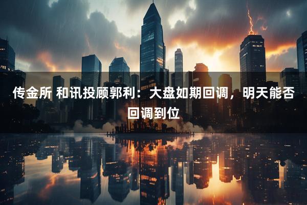 传金所 和讯投顾郭利：大盘如期回调，明天能否回调到位