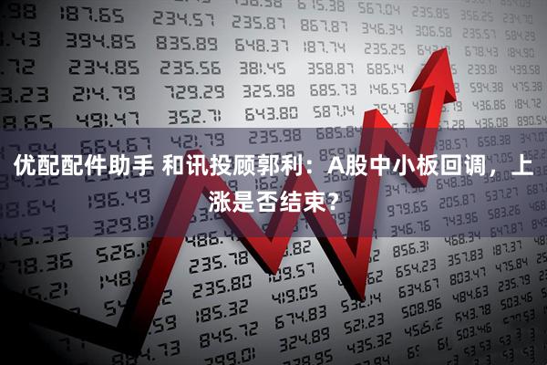 优配配件助手 和讯投顾郭利：A股中小板回调，上涨是否结束？