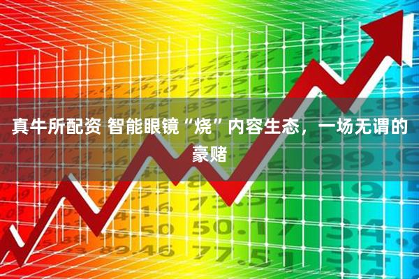 真牛所配资 智能眼镜“烧”内容生态，一场无谓的豪赌