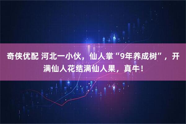 奇侠优配 河北一小伙，仙人掌“9年养成树”，开满仙人花结满仙人果，真牛！