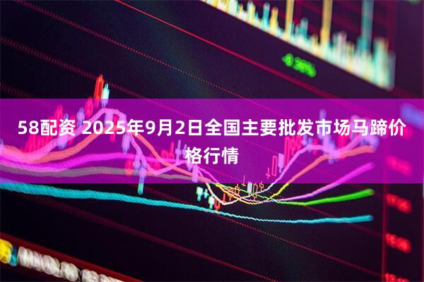 58配资 2025年9月2日全国主要批发市场马蹄价格行情