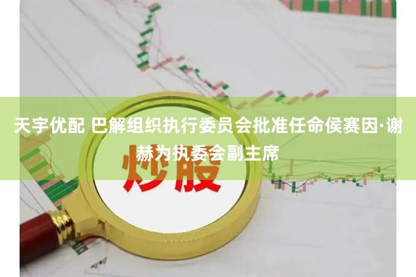 天宇优配 巴解组织执行委员会批准任命侯赛因·谢赫为执委会副主席